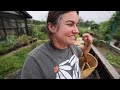 I'm changing how I garden (& a sheep scare) | VLOG