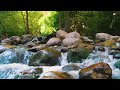 Escape to Serenity  Beautiful Relaxing Music with Soothing Nature Sounds for Stress Relief