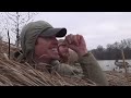 Duck Hunting Flooded Corn From INSANE PIT BLIND!! (Mallard Limits Running Traffic)