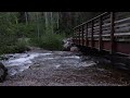 White Pine Trailhead 🌲 Little Cottonwood Creek in Utah (4K) Stress Reducing Water Under the Bridge