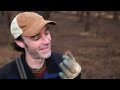 SO EXPENSIVE! The Hidden World of Truffle Hunting: Cinematic Documentary Unveiled!