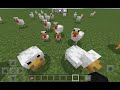 HOW TO SPAWN CHICKEN MINECRAFT TURIAL