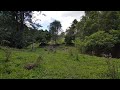 Touring Arcadia Farm -  Video 2