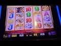 ⭐MAX BET MONDAY⭐ CAN WE GET 15 GOLD HEADS BUFFALO COLLECTION SLOT MACHINE SAN DIEGO CASINO EP#015