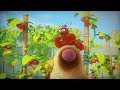 BAGARRE D'OISEAUX LARVA ! | Compilation d'épisodes complets pour enfants | WildBrain Enfants