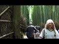 🚶‍♂️Walking Through Arashiyama Bamboo Grove in 4K: Serenity and Natural Beauty