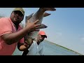 Big Fishes hunting & Catching by Professional Fisherman|Unbelievable Hook fishing video