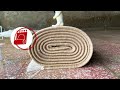 Dive into the Foam Frenzy: Watch Us Conquer a Giant Carpet Cleaning Challenge!( zzZ video)
