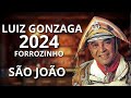 LUIZ GONZAGA SÃO JOÃO 2024 FORROZINHO VERSÃO LUIZ O PODEROSO CHEFÃO