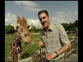 Miami Metrozoo's 2 @ the Zoo with Ron Magill - Giraffes