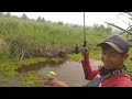 niat mau csting ikan toman malah jadi mancing ikan pepuyu ama gihung wis yng penting madang sek lah😂