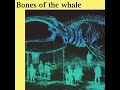 Bones of the Whale - Ästrø