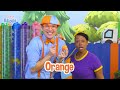 Learn Colors with Blippi in a Fun Ball Pit Game! | Blippi's Playdate | Educational Videos for Kids