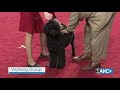 2018 AKC Royal Canin National All-Breed Puppy and Junior Stakes