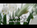 清明淚🎵「4月 松雪草」「四季」Op. 37a〜第4曲（Peter Ilyich Tchaikovsky）