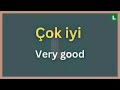 IF YOU LEARN THESE 400 TURKISH PHRASES, YOU WILL BE CHAMPION IN TURKISH LANGUAGE