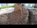 REPLACING OLD COLLAPSED SEWAGE LINE WITH MINI EXCAVATOR