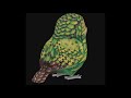 kakapo.mp4