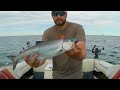 Lake Ontario KING SALMON- Evening Bite!