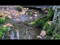 a very small creek at englsih man river falls parksville bc
