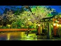Sakura Nocturne ♬ Relaxing Music ♬ Emotional Japanese Songs Collection