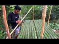 2 HARI SOLO CAMPING HUJAN DERAS -MEMBUAT RUMAH BAMBU YANG NYAMAN DI TIDURI