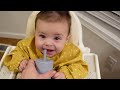 WHAT MY 6 MONTH OLD EATS IN A DAY | BF + Baby Led Weaning