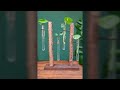 Top 50 Most fantastic awesome design of wooden decorations ideas/Fabolous wooden design 2024-25