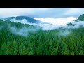 Relaxing Music - Healing the Heart and Blood Vessels, Soothing the Nervous System And Reduce Stress