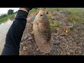 PENDATANG TAMPA IZIN ‼️MANCING IKAN GURAME LIAR,DI KEBUN PISANG CINA