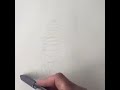 How to draw a sketch using circles and swirls