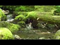 🌳 Calm piano healing music / Resting music, relieving stress, sleep-inducing music