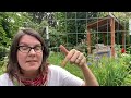 A Permaculture Perspective on Garden Paths