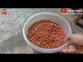 Resep kacang kedelai goreng!! Lebih kriuk dan nikmat