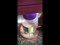 Homemade chicken feeder