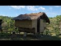 simple life sa bukid sinigang ang ulam namin sa tanghalian Dito sa aming bukid