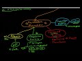Hepatic Physiology 1: Functions of the Liver