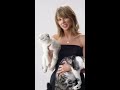 Taylor Swift  and her cats 🤣🤣