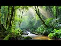 Relaxing music that regulates the autonomic nervous system and strengthens the immune system