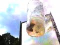 Fireworks Meet Water Bottle - Highspeed Video.flv