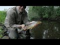 Small Stream - Big Trout