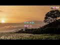 숨어 우는 바람소리/전유진