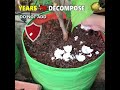 15 MAGICAL HOUSEHOLD GARDEN HACKS | GARDENING TRICKS & TIPS