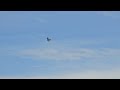 F-35 4-Point Hesitation Roll at Spirit Airshow 2024