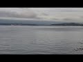 Orcas sighted 2/9/2020