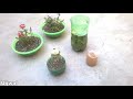 How to use liquid organic fertilizer for any plants | Homemade fertilizer