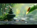 Relaxing Music Relieves Stress, Anxiety and Depression 🌿 Heals the Mind - Deep Sleep
