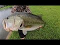 FISH of a LIFETIME in CRAZY URBAN FLOOD!!