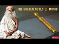 Flute melody’s meditation the golden note of music