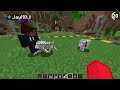 a mod with any mob mojang rejected